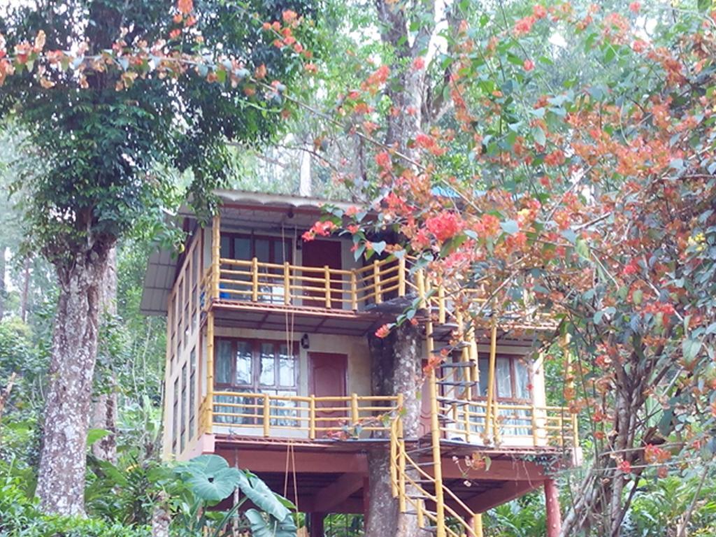 Bed and Breakfast Jungle Jive Tree House Munnar Exterior foto