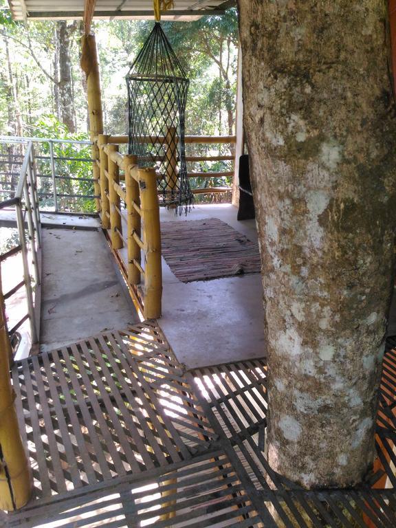 Bed and Breakfast Jungle Jive Tree House Munnar Exterior foto