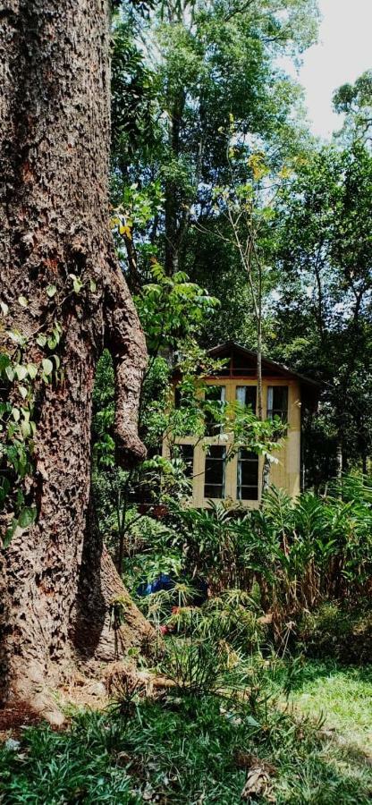 Bed and Breakfast Jungle Jive Tree House Munnar Exterior foto