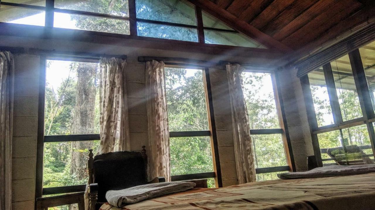 Bed and Breakfast Jungle Jive Tree House Munnar Exterior foto